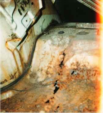 Super Bee Drvr Frnt Trunk.jpg Super Bee Drvr Frnt Trunk.jpg