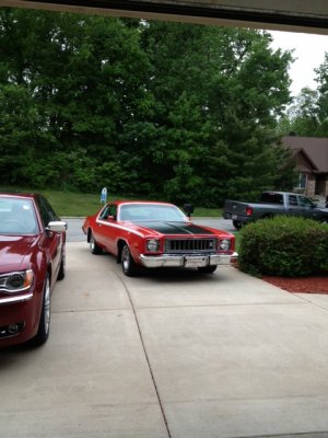 7745974-Roadrunnerr.jpg 7745974-Roadrunnerr.jpg