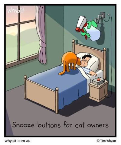 1688170768219.png