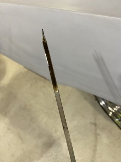 IMG_7588.jpeg IMG_7588.jpeg