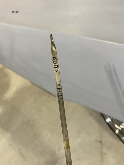 IMG_7589.jpeg IMG_7589.jpeg