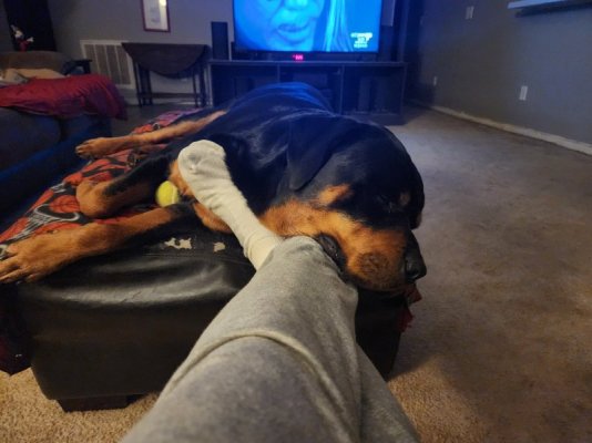 20230321_212647.jpg