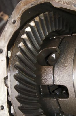 DSC_9263.jpg DSC_9263.jpg