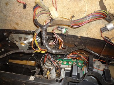 fill underside 016.JPG