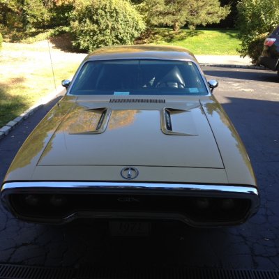 pics from seagate backup 1384.JPG