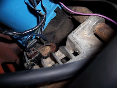 100_7243.jpg 100_7243.jpg