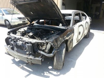 1836600_10152431270014610_7271535789205310417_o.jpg 1836600_10152431270014610_7271535789205310417_o.jpg