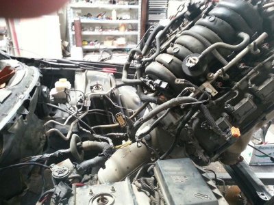 1795953_10152431533679610_9108719662463323870_o.jpg 1795953_10152431533679610_9108719662463323870_o.jpg