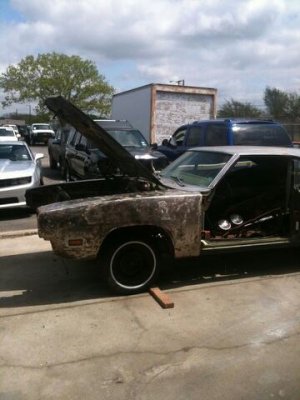 10176128_10152360084289610_938008349173115108_n.jpg 10176128_10152360084289610_938008349173115108_n.jpg