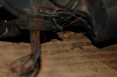 Heinz Cores_06.JPG Heinz Cores_06.JPG