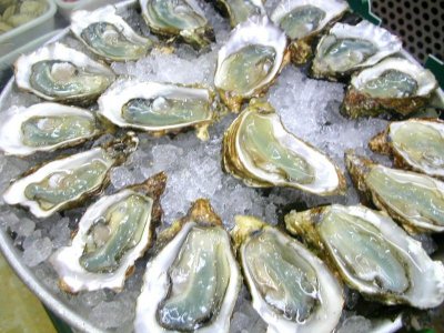 dollar-oysters.jpg