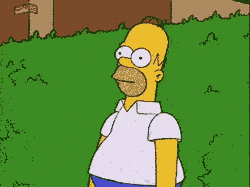 1692986653217.gif