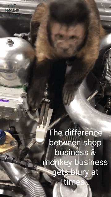 3f3c9d295f6ca5796ddebb781f17f9d8b617c421.gif