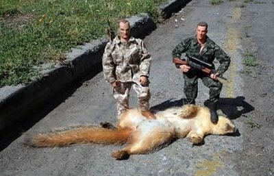 GI Joe.jpg