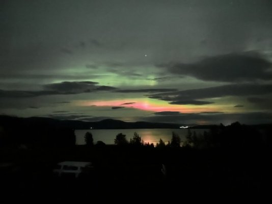 IMG_4533.jpg