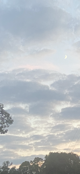 0C838998-2C37-486F-B4F4-632F7173C214.png