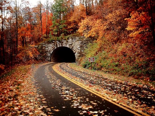 autumn-beautiful-pictures.jpg