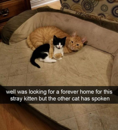 1695231675882.png