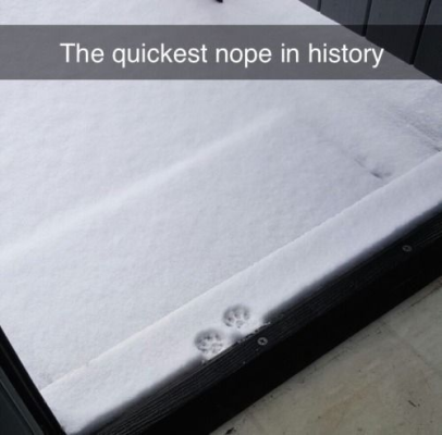 1695317923883.png