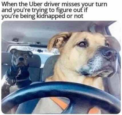 Uber driver.jpg