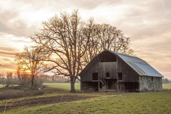 old-barn-1499693656uxA.jpg