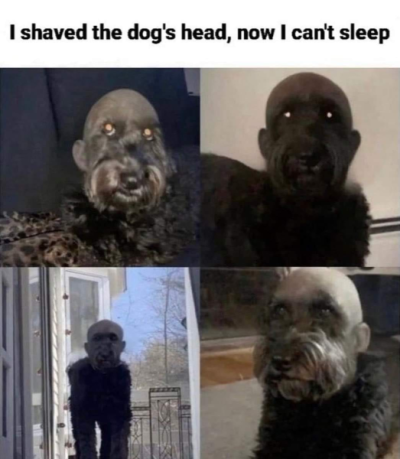 1695508308450.png