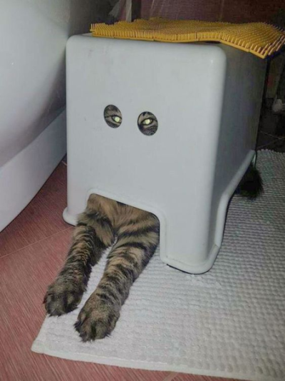 1695529921472.png