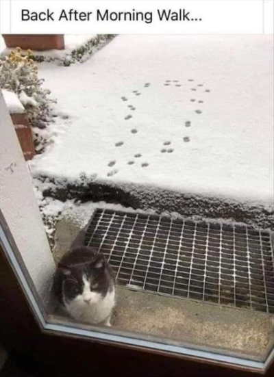 1695577769855.png
