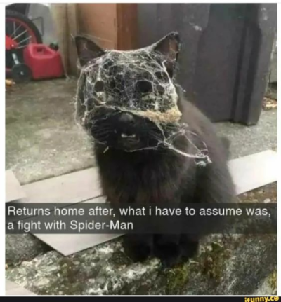 1695664546131.png