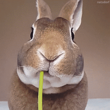 tumblr_oik7k3vfgl1uupfn8o1_400.gif