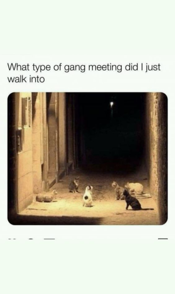 1695749170381.png