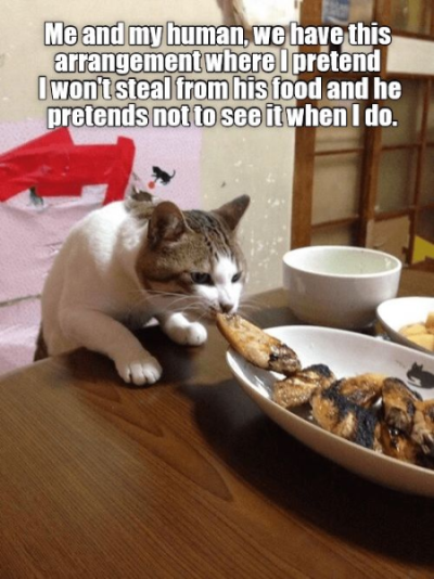 1695922435187.png