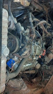 IMG_20140521_201835_285 (1).jpg