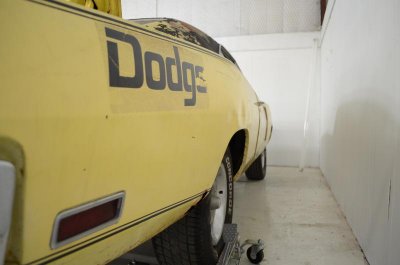 DSC_7239.jpg DSC_7239.jpg