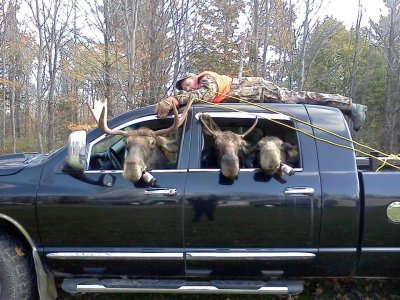 Moose Hunting.jpg