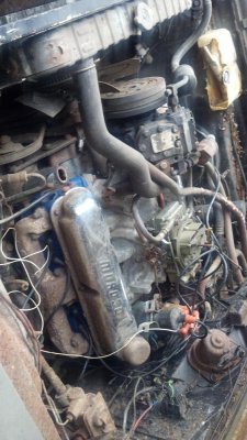 IMG_20140408_172842_452 (2).jpg