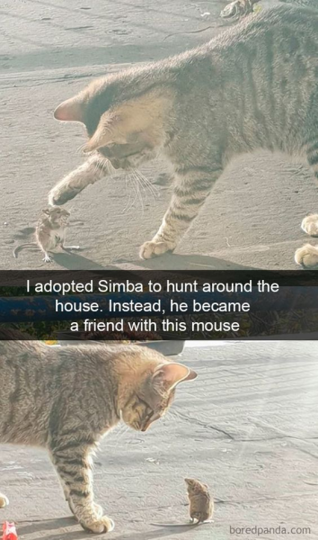1695975716484.png