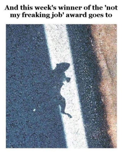 1696008069714.png