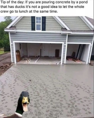1696008182402.png