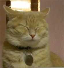 e34a93bd32e7bc746caffd90cd3277a73b1b7d33.gif