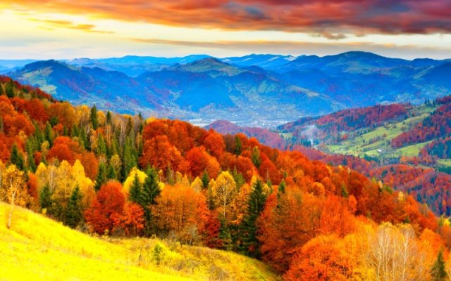 945370-autumn-fall-season-nature-landscape-leaf-leaves-color-seasons-tree-forest.jpg