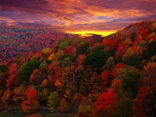 Autumn-Mountain-Scenes-Images.jpg