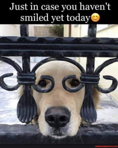 1696350267484.png