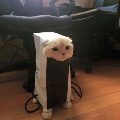 1696397436831.png