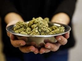 buds.jpg