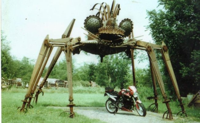 Delaneys spider.JPG