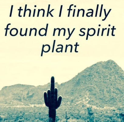 1696978290532.png