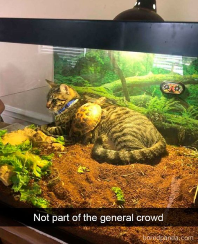 1696993079455.png