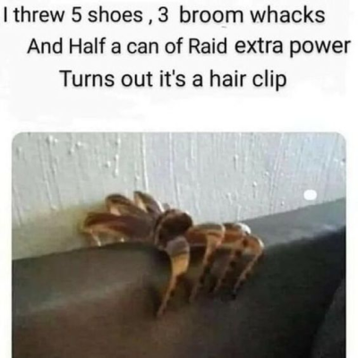 1697134577750.png