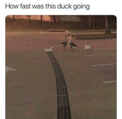 1697157237018.png